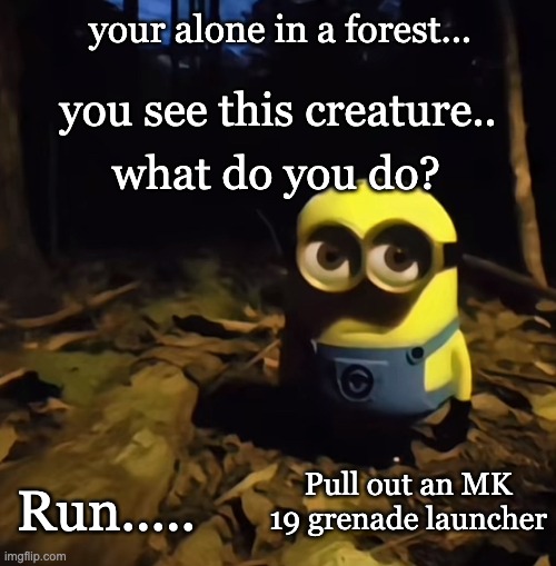 Choose wisely (third option) give it your banana | your alone in a forest... you see this creature.. what do you do? Pull out an MK 19 grenade launcher; Run..... | image tagged in minion in dark forest | made w/ Imgflip meme maker
