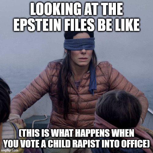 Trump rapes kids | LOOKING AT THE EPSTEIN FILES BE LIKE; (THIS IS WHAT HAPPENS WHEN YOU VOTE A CHILD RAPIST INTO OFFICE) | image tagged in memes,bird box | made w/ Imgflip meme maker