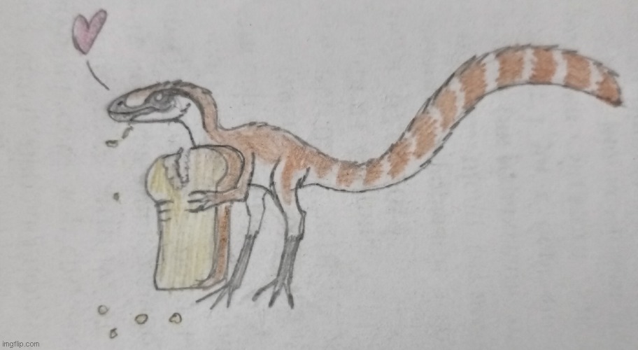 Sinosauropteryx loves toast | image tagged in sinosauropteryx,theropod dinosaur,cretaceous,china,toast | made w/ Imgflip meme maker