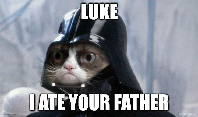 star wars | LUKE; I ATE YOUR FATHER | image tagged in memes,grumpy cat star wars,grumpy cat | made w/ Imgflip meme maker