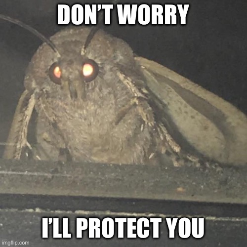 Who needs this protection | DON’T WORRY I’LL PROTECT YOU | image tagged in moth lamp,worry,don't worry be happy,protection | made w/ Imgflip meme maker