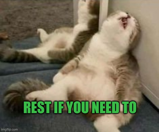 Rest if you need to | REST IF YOU NEED TO | image tagged in tired cat,rest,autism,recovery,christmas | made w/ Imgflip meme maker