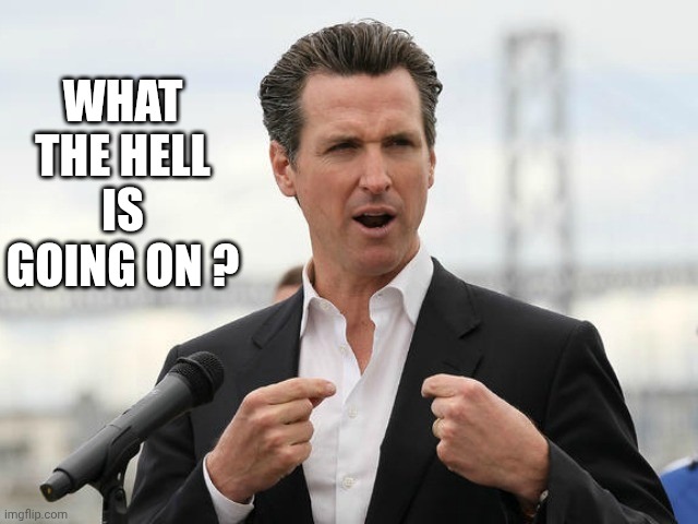 gavin newsome | WHAT THE HELL IS GOING ON ? | image tagged in gavin newsome | made w/ Imgflip meme maker