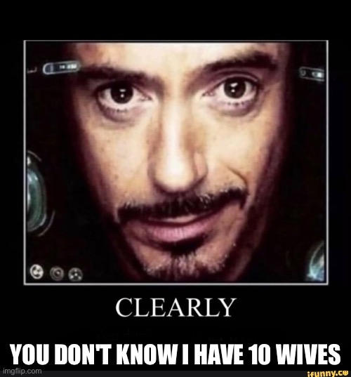 Clearly (You Don’t Own An Air Fryer) | YOU DON'T KNOW I HAVE 10 WIVES | image tagged in clearly you don t own an air fryer | made w/ Imgflip meme maker