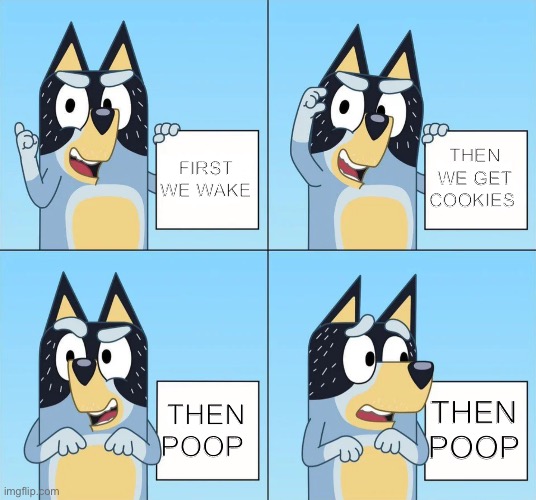 Bluey Gru | FIRST WE WAKE; THEN WE GET COOKIES; THEN POOP; THEN POOP | image tagged in bluey gru | made w/ Imgflip meme maker