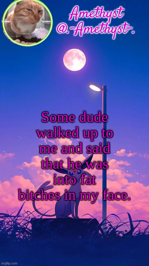 ... | Some dude walked up to me and said that he was into fat bitches in my face. | image tagged in amethyst announcement template | made w/ Imgflip meme maker