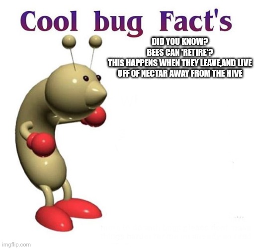 Cool Bug Facts | DID YOU KNOW?
BEES CAN 'RETIRE'?
THIS HAPPENS WHEN THEY LEAVE,AND LIVE OFF OF NECTAR AWAY FROM THE HIVE | image tagged in cool bug facts | made w/ Imgflip meme maker