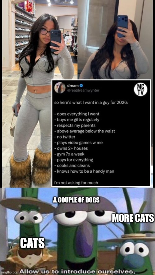 Sadness. | A COUPLE OF DOGS; MORE CATS; CATS | image tagged in veggietales 'allow us to introduce ourselfs',new years,memes | made w/ Imgflip meme maker