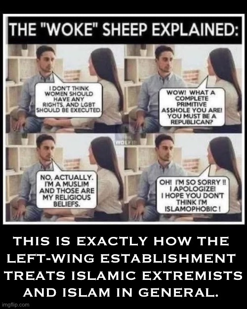 They think that they’d be spared if Islam ever took over the country… | THIS IS EXACTLY HOW THE 
LEFT-WING ESTABLISHMENT 
TREATS ISLAMIC EXTREMISTS
AND ISLAM IN GENERAL. | image tagged in political meme,islam,hypocrisy,democrats,woke,sheep | made w/ Imgflip meme maker