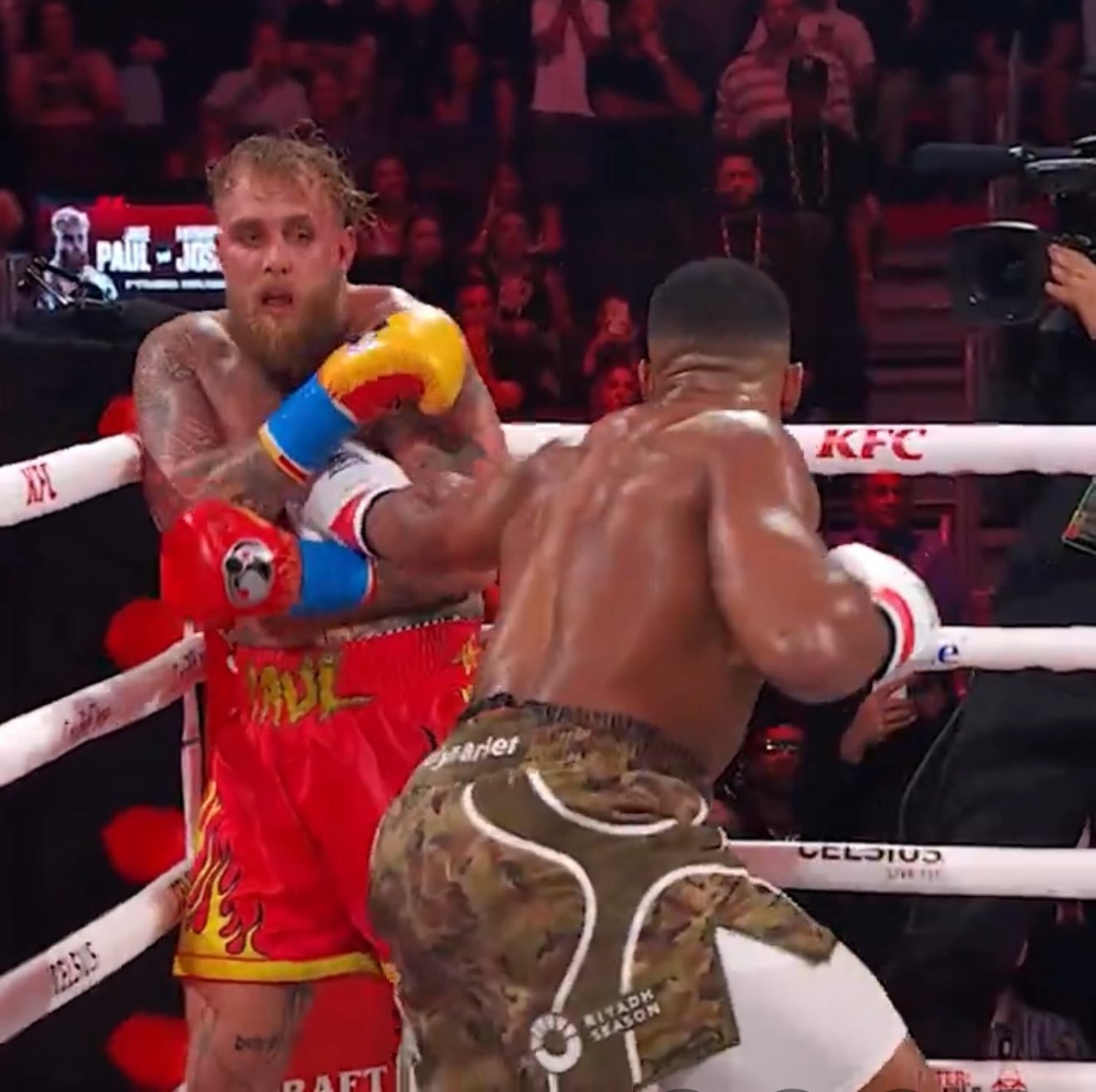 Jake Paul boxing in the corner Blank Meme Template