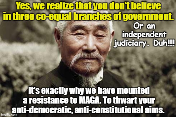 Yes, we realize that you don't believe in three co-equal branches of government. It's exactly why we have mounted a resistance to MAGA. To t | image tagged in wise man | made w/ Imgflip meme maker