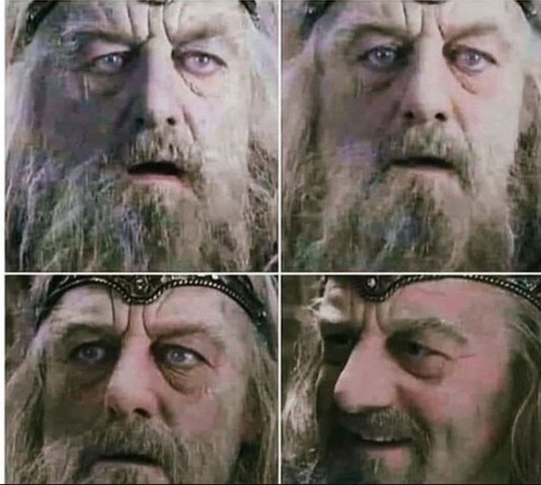 Gondor king old to young Blank Meme Template