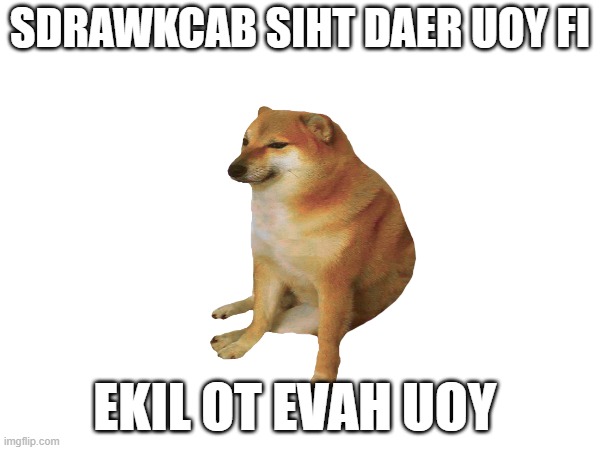 That one design u see at a cheap marketing store | SDRAWKCAB SIHT DAER UOY FI; EKIL OT EVAH UOY | image tagged in funny memes | made w/ Imgflip meme maker