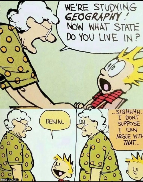 Calvin and Hobbes | image tagged in calvin and hobbes,geography,denial | made w/ Imgflip meme maker