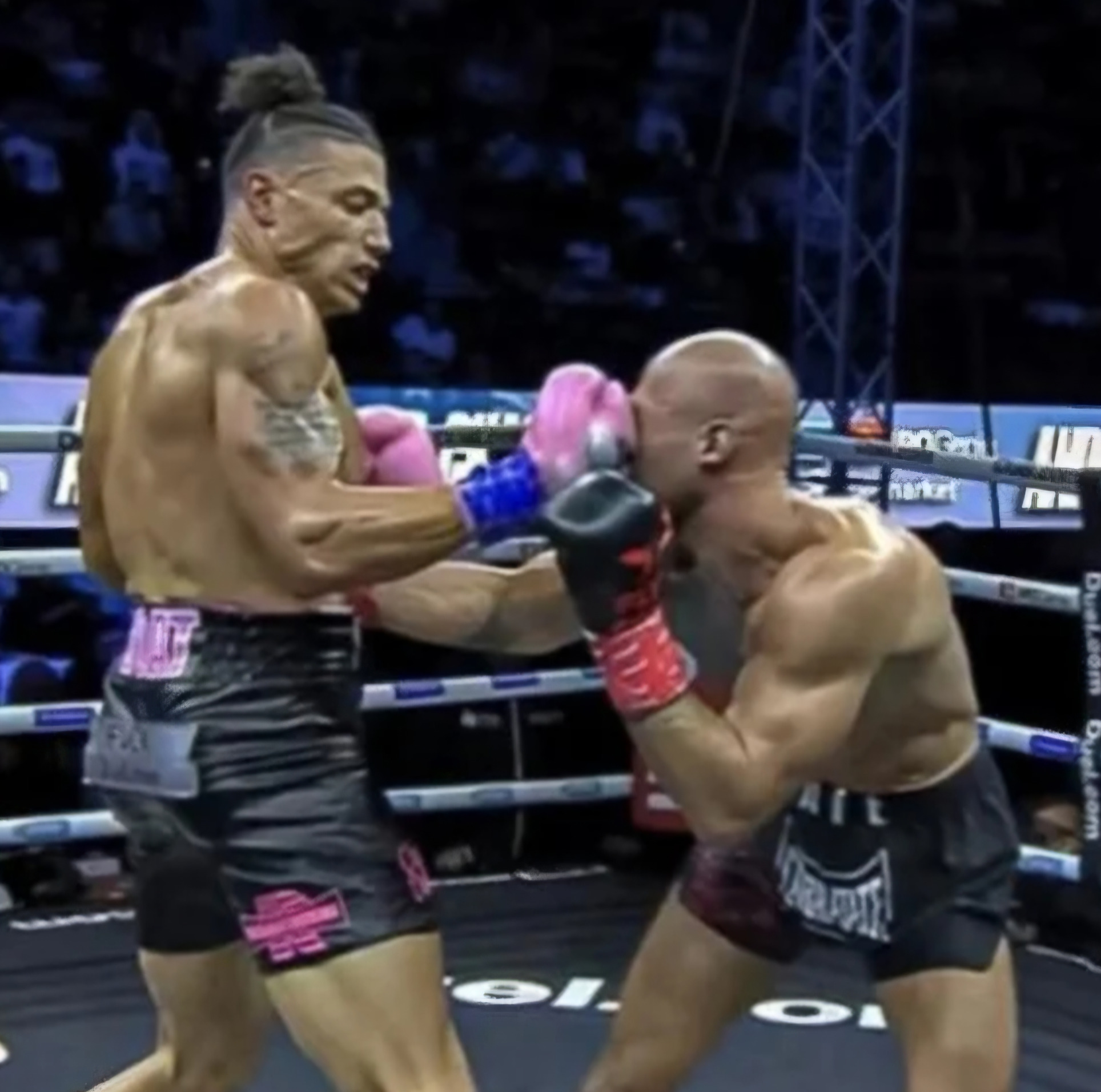 Life as an Alpha male Blank Meme Template