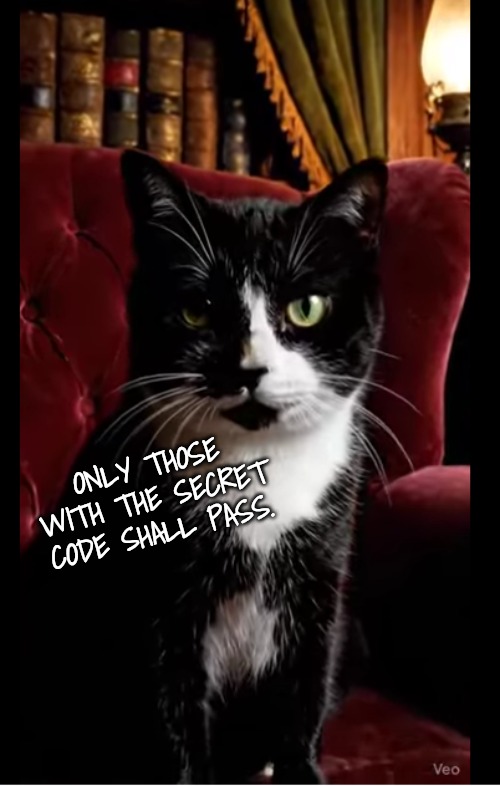 ONLY THOSE WITH THE SECRET CODE SHALL PASS. | made w/ Imgflip meme maker
