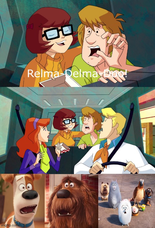 Max, Duke and Friends react to Velma imitating Scooby | image tagged in scooby doo,the secret life of pets,illumination,crossover,memes,shocked | made w/ Imgflip meme maker