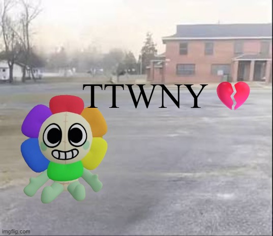 TTWNY.mp3 | TTWNY💔 | image tagged in blank sybau | made w/ Imgflip meme maker