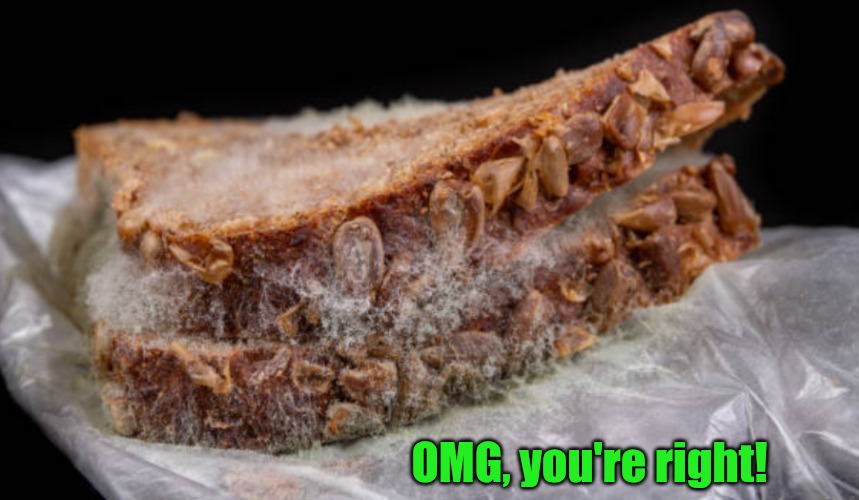 OMG, you're right! | made w/ Imgflip meme maker