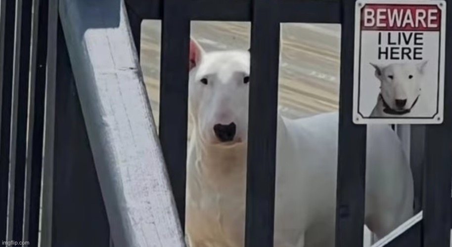 In the flesh | made w/ Imgflip meme maker