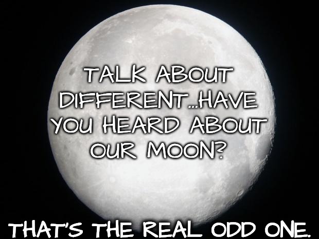 TALK ABOUT DIFFERENT...HAVE YOU HEARD ABOUT
OUR MOON? THAT'S THE REAL ODD ONE. | image tagged in full moon | made w/ Imgflip meme maker
