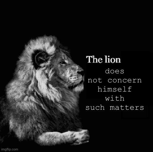 The lion tiktok template | does not concern himself with such matters | image tagged in the lion tiktok template | made w/ Imgflip meme maker