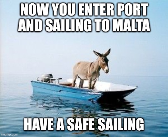 DONKEY ON A BOAT | NOW YOU ENTER PORT AND SAILING TO MALTA; HAVE A SAFE SAILING | image tagged in donkey on a boat | made w/ Imgflip meme maker