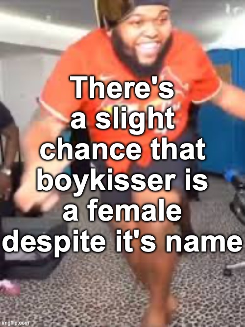 Druski dancing | There's a slight chance that boykisser is a female despite it's name | image tagged in druski dancing | made w/ Imgflip meme maker