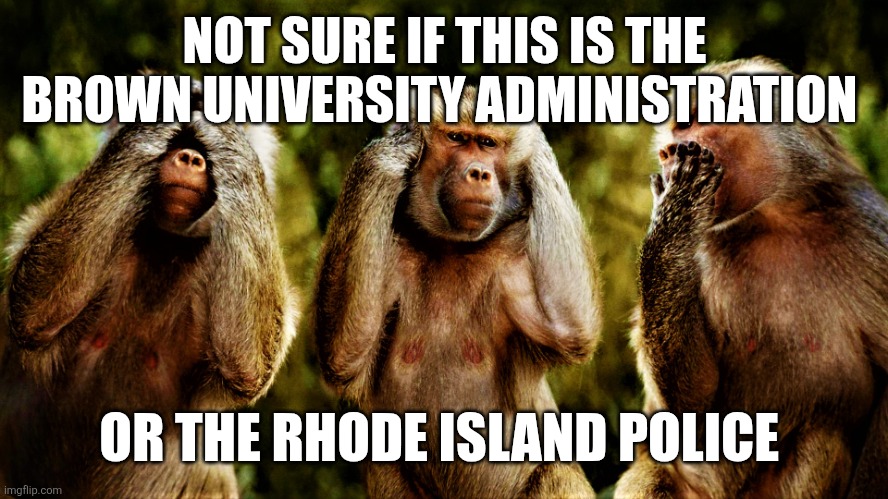 Monkey version of see no evil hear no evil speak no evil | NOT SURE IF THIS IS THE BROWN UNIVERSITY ADMINISTRATION; OR THE RHODE ISLAND POLICE | image tagged in monkey version of see no evil hear no evil speak no evil | made w/ Imgflip meme maker