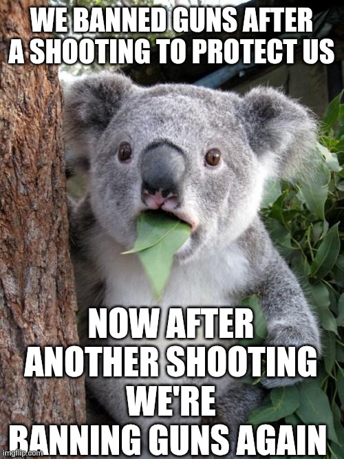 Surprised Koala Meme | WE BANNED GUNS AFTER A SHOOTING TO PROTECT US; NOW AFTER ANOTHER SHOOTING WE'RE BANNING GUNS AGAIN | image tagged in memes,surprised koala | made w/ Imgflip meme maker