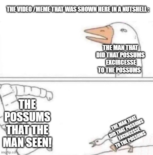 THE MAN THAT DID THAT POSSUMS  EXCIRCESSE TO THE POSSUMS THE POSSUMS THAT THE MAN SEEN! THE MAN THAT DID THAT POSSUMS  EXCIRCESSE TO THE POS | image tagged in goose chase | made w/ Imgflip meme maker