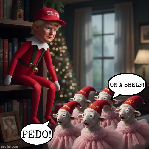 ELF ON A SHELF | ON A SHELF! PEDO! | image tagged in trump,maga,elf on the shelf,elf on a shelf,merry christmas,happy holidays | made w/ Imgflip meme maker