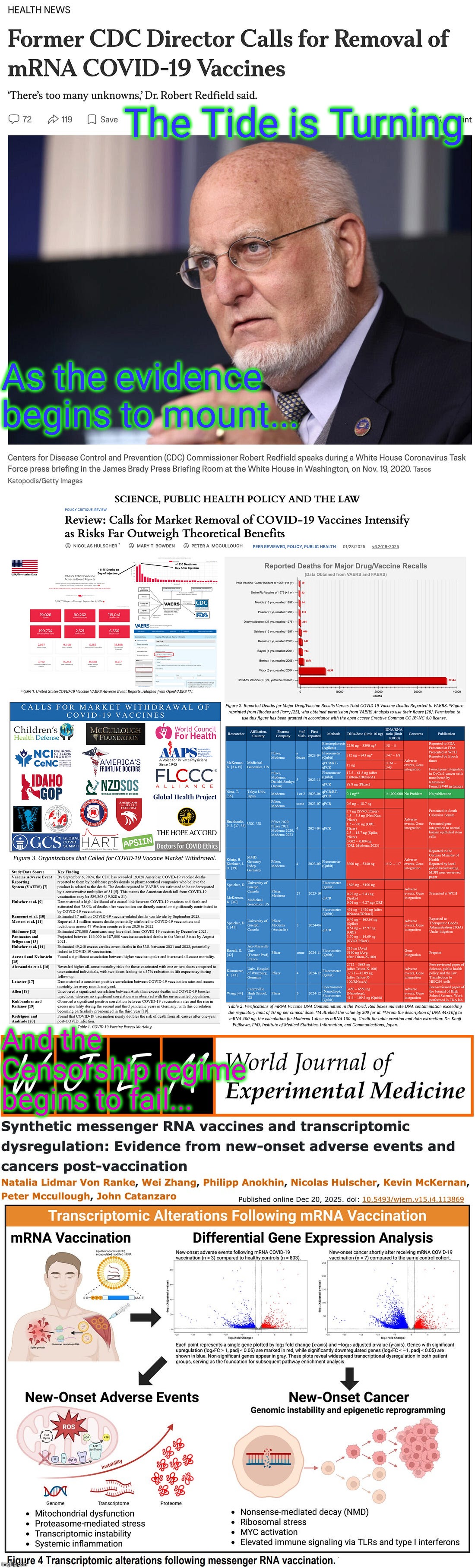 A CENSORED Article - on Adverse Events and Cancers, caused by Genetic damage, from the modRNA injections - finds a new Home. | The Tide is Turning; As the evidence begins to mount... And the Censorship regime begins to fail... | image tagged in the tide is turning,censorship regime fails,the covid shots cause cancer,lethal weapon,covid_truth memes,scary facts | made w/ Imgflip meme maker