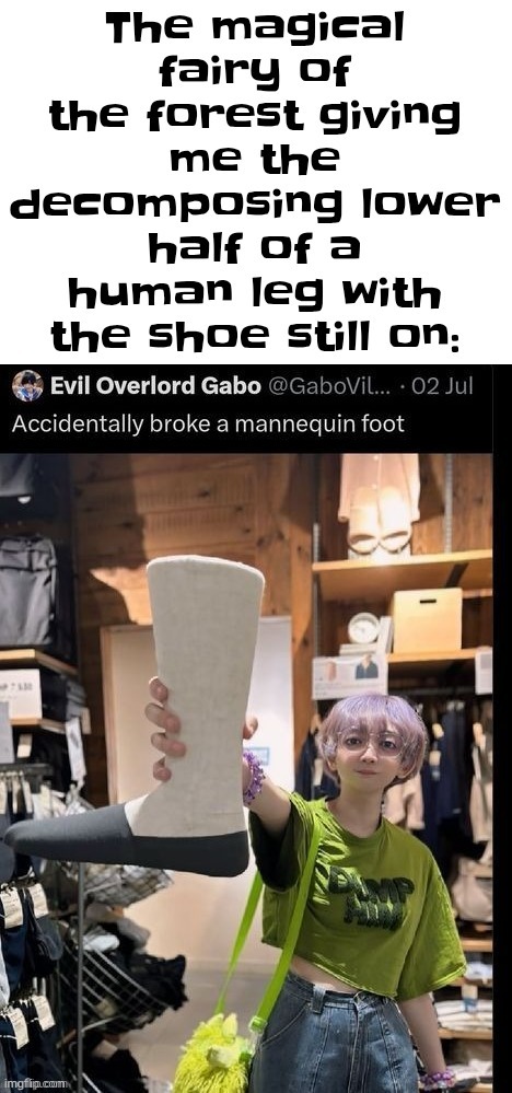 The magical fairy of the forest giving me the decomposing lower half of a human leg with the shoe still on: | made w/ Imgflip meme maker
