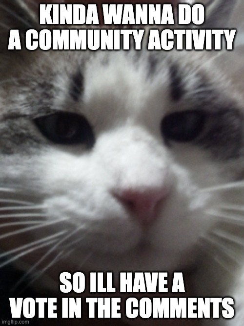 Sour Hart announcement template | KINDA WANNA DO A COMMUNITY ACTIVITY; SO ILL HAVE A VOTE IN THE COMMENTS | image tagged in sour hart announcement template | made w/ Imgflip meme maker