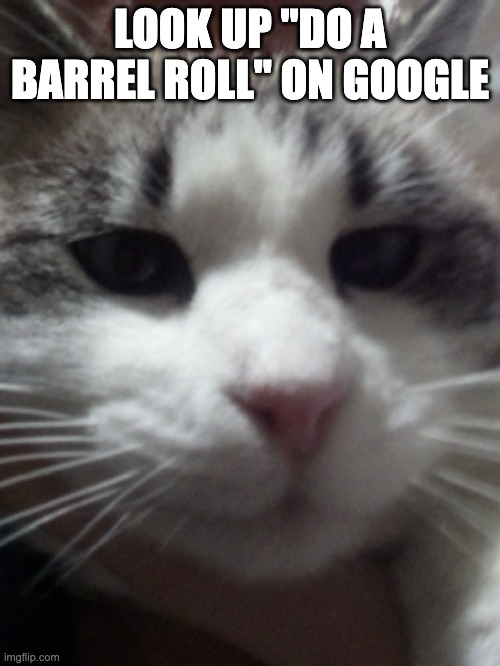 Sour Hart announcement template | LOOK UP "DO A BARREL ROLL" ON GOOGLE | image tagged in sour hart announcement template | made w/ Imgflip meme maker