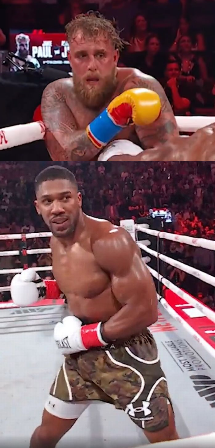 Jake Paul Knockout Blank Meme Template