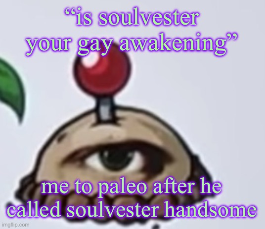 the potato | “is soulvester your gay awakening”; me to paleo after he called soulvester handsome | image tagged in the potato | made w/ Imgflip meme maker