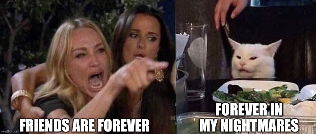 woman yelling at cat | FRIENDS ARE FOREVER; FOREVER IN MY NIGHTMARES | image tagged in woman yelling at cat | made w/ Imgflip meme maker