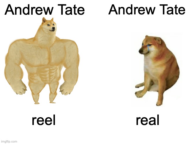 Andrew Tate reel vs real | Andrew Tate; Andrew Tate; reel; real | image tagged in memes,buff doge vs cheems | made w/ Imgflip meme maker