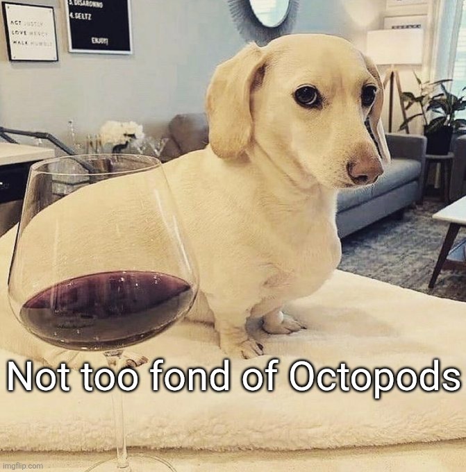 Homophobic Dog | Not too fond of Octopods | image tagged in homophobic dog | made w/ Imgflip meme maker