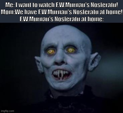 Nosferatu's Lot | Me: I want to watch F.W.Murnau's Nosferatu!
Mom:We have F.W.Murnau's Nosferatu at home!
F.W.Murnau's Nosferatu at home: | image tagged in stephen king,nosferatu | made w/ Imgflip meme maker