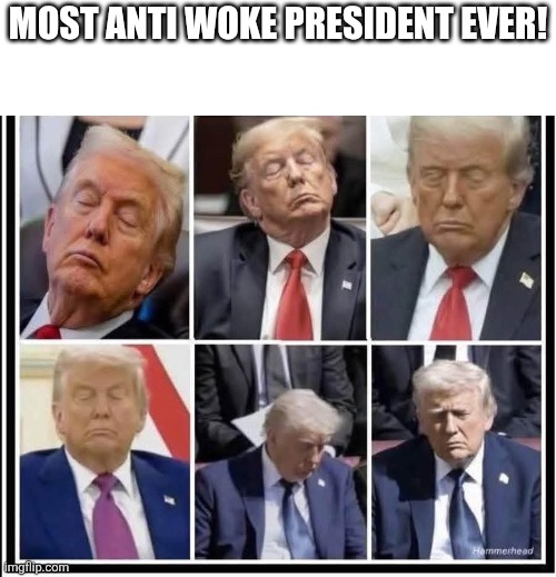 Most anti woke president ever | MOST ANTI WOKE PRESIDENT EVER! | image tagged in donald trump,maga,trump,trump supporters,nevertrump,trump sucks | made w/ Imgflip meme maker