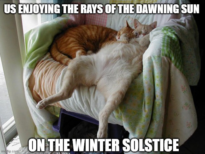 Cats sleeping through Winter Solstice | US ENJOYING THE RAYS OF THE DAWNING SUN; ON THE WINTER SOLSTICE | image tagged in cats,solstice,winter is here,winter solstice,sleeping cats | made w/ Imgflip meme maker