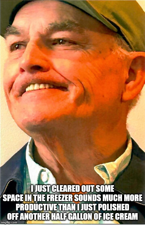 CLEARED SPACE IN THE FREEZER | I JUST CLEARED OUT SOME SPACE IN THE FREEZER SOUNDS MUCH MORE PRODUCTIVE THAN I JUST POLISHED OFF ANOTHER HALF GALLON OF ICE CREAM | image tagged in durlearl | made w/ Imgflip meme maker