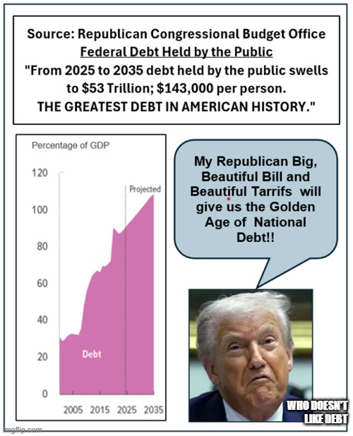 Historic National Debt | WHO DOESN'T LIKE DEBT | image tagged in historic national debt | made w/ Imgflip meme maker