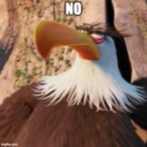 mighty eagle no | image tagged in mighty eagle no | made w/ Imgflip meme maker