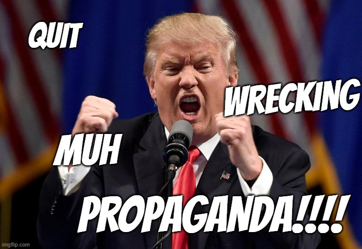 Angry Donald Trump  | QUIT PROPAGANDA!!!! WRECKING MUH | image tagged in angry donald trump | made w/ Imgflip meme maker