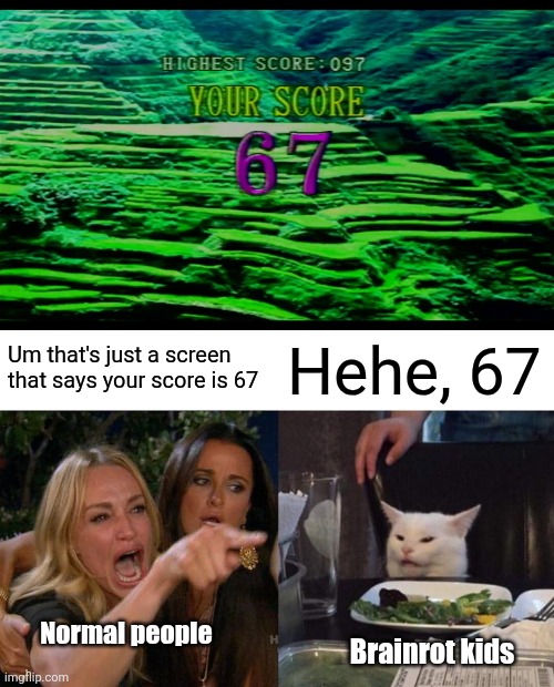 Magic Sing meme | Um that's just a screen that says your score is 67; Hehe, 67; Normal people; Brainrot kids | image tagged in memes,woman yelling at cat,magic sing,score,brainrot,67 | made w/ Imgflip meme maker