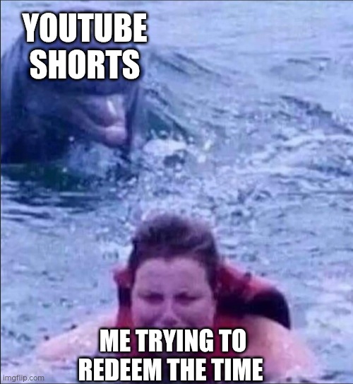 YouTube shorts | YOUTUBE SHORTS; ME TRYING TO REDEEM THE TIME | image tagged in kid fears dolphins,fear | made w/ Imgflip meme maker